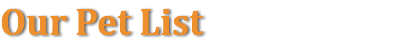 Our Pet List