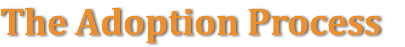 The Adoption Process